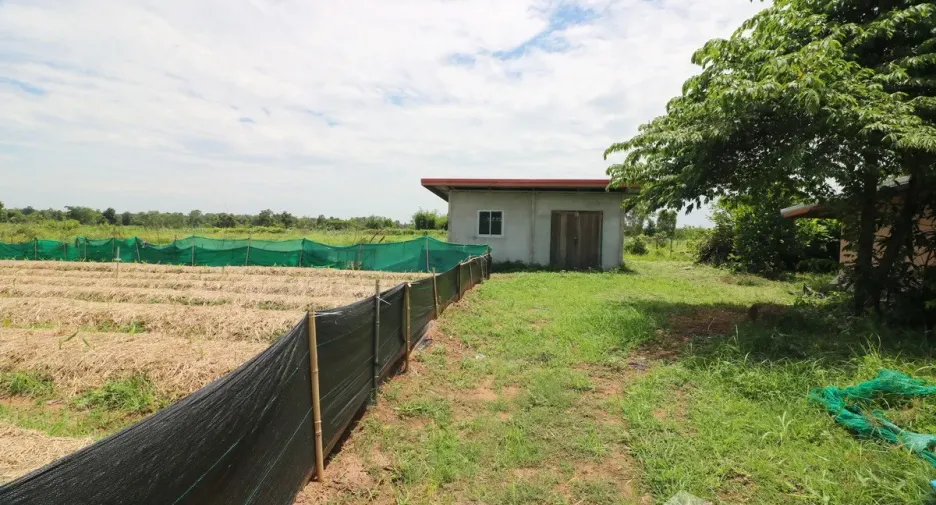 出售 土地 在 Mueang Nong Bua Lam Phu, Nong Bua Lam Phu