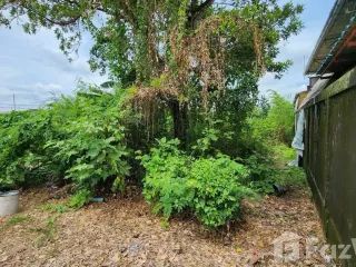 For sale land in Phutthamonthon, Nakhon Pathom