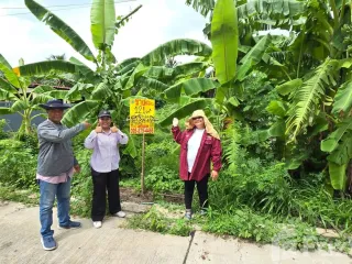 For sale land in Sam Phran, Nakhon Pathom