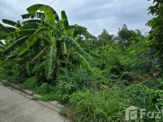 For sale land in Sam Phran, Nakhon Pathom