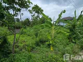 For sale land in Sam Phran, Nakhon Pathom