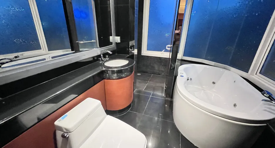 À louer 2 chambres condo 