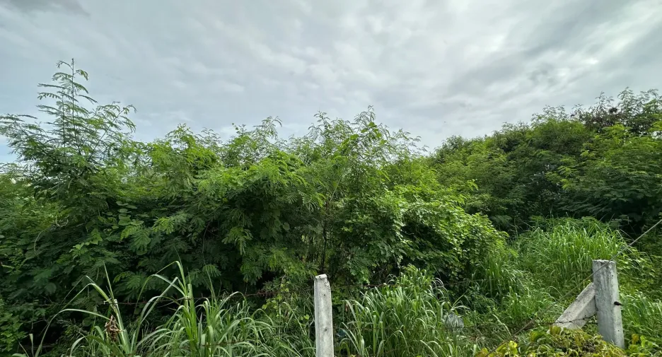 出售 土地 在 Prawet, 曼谷