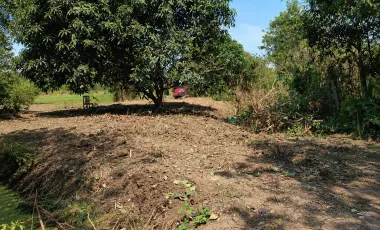 Grundstück zum Kauf in Ban Mo, Saraburi