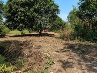 For sale land in Ban Mo, Saraburi
