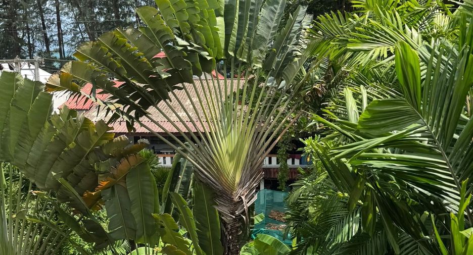 For sale 3 bedrooms house in Thalang, Phuket