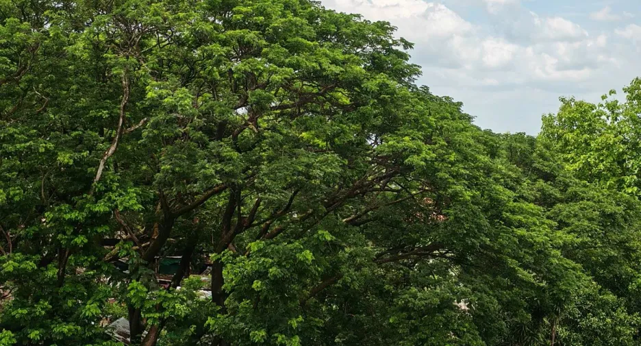 Продажа студия кондо в Mueang Chiang Mai, Чианг Маи