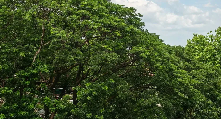 Продажа студия кондо в Mueang Chiang Mai, Чианг Маи