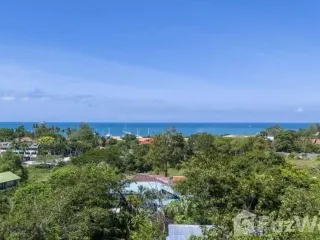 For sale land in Ko Samui, Surat Thani