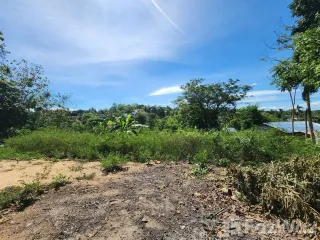 For sale land in Ko Samui, Surat Thani