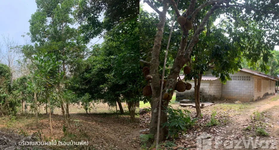 For sale land in Kapoe, Ranong