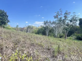 Grundstück zum Kauf in Thong Pha Phum, Kanchanaburi