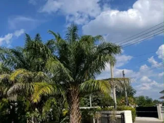 For rent 2 ベッドルーム house in Hang Dong, Chiang Mai