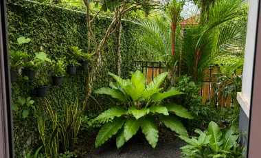 For rent and for sale 2 bedrooms house in Thalang, Phuket