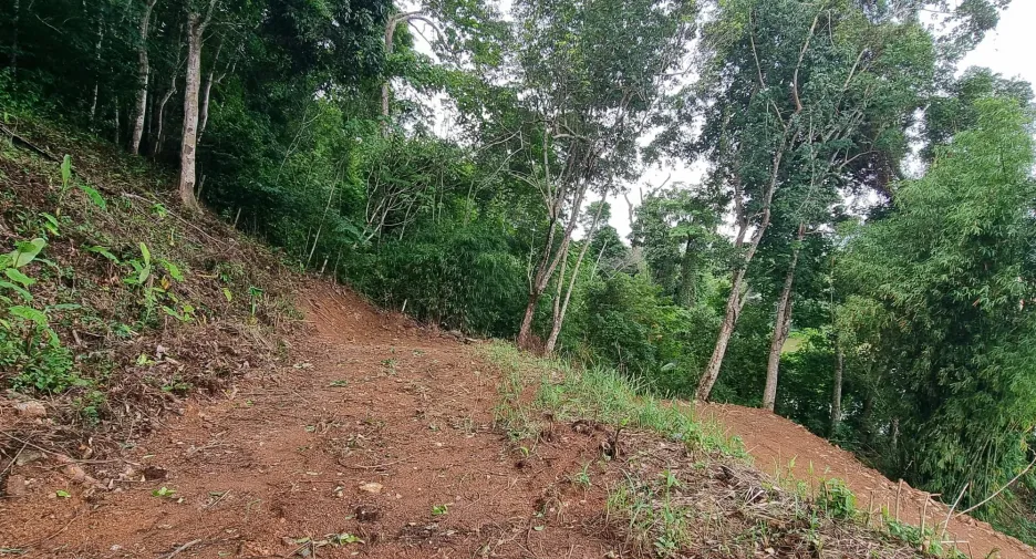 For sale land in Kathu, Phuket