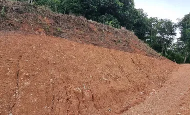 For sale land in Kathu, Phuket