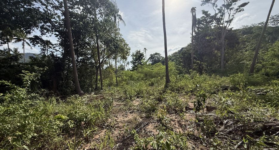 For sale land in Ko Samui, Surat Thani