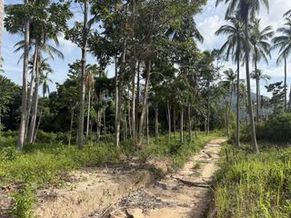 For sale land in Ko Samui, Surat Thani