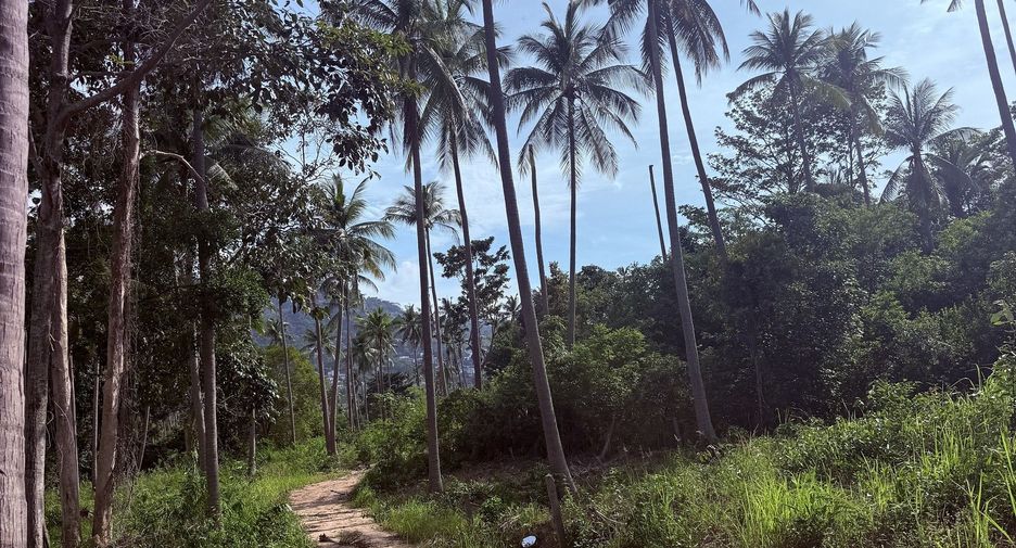 For sale land in Ko Samui, Surat Thani