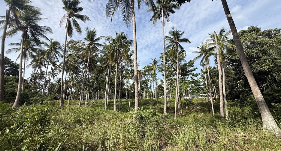 For sale land in Ko Samui, Surat Thani