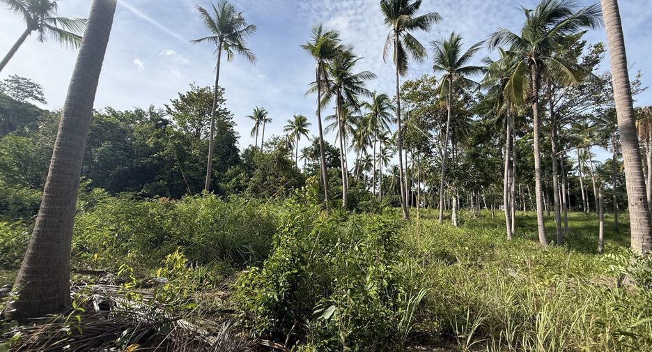 For sale land in Ko Samui, Surat Thani