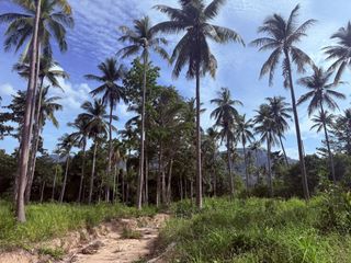 For sale land in Ko Samui, Surat Thani