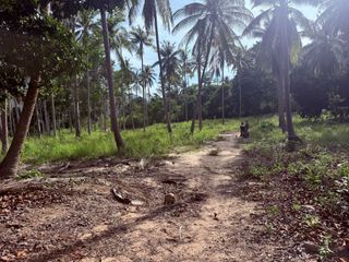 For sale land in Ko Samui, Surat Thani