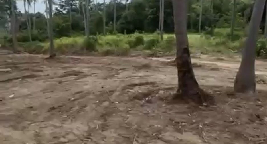 For sale land in Ko Samui, Surat Thani