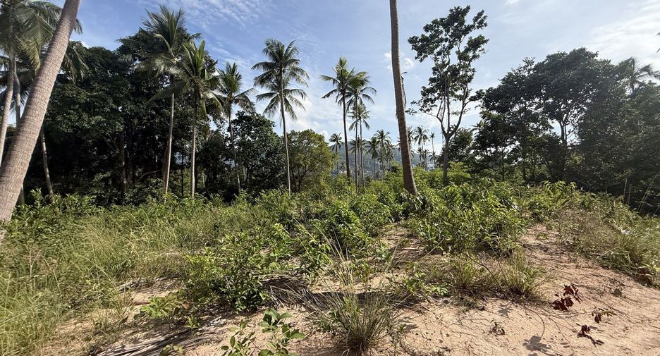 For sale land in Ko Samui, Surat Thani