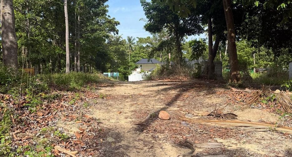 For sale land in Ko Samui, Surat Thani
