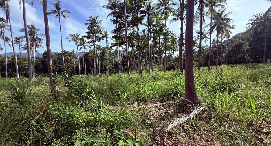 For sale land in Ko Samui, Surat Thani