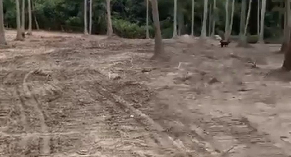 For sale land in Ko Samui, Surat Thani