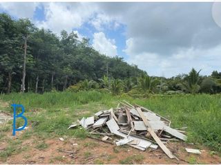 For sale land in Mueang Phuket, Phuket