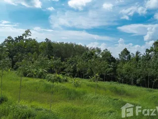 For sale land in Mueang Krabi, Krabi