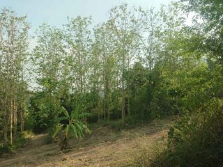 出售 土地 在 华欣, 班武里府