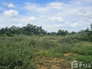 Grundstück zum Kauf in Pran Buri, Prachuap Khiri Khan