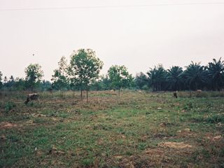 For sale land in Sam Roi Yot, Prachuap Khiri Khan