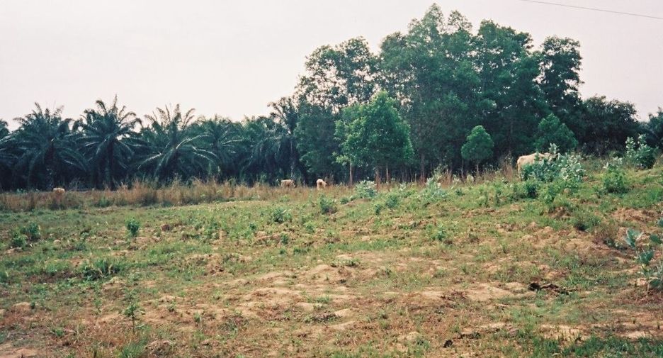 For sale land in Sam Roi Yot, Prachuap Khiri Khan
