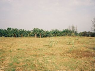 For sale land in Sam Roi Yot, Prachuap Khiri Khan