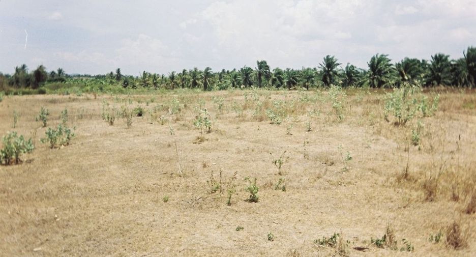 For sale land in Sam Roi Yot, Prachuap Khiri Khan