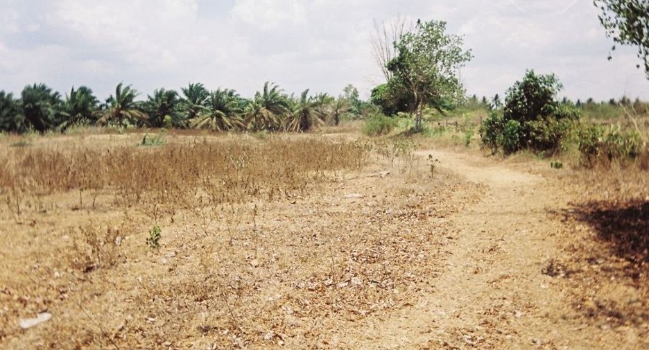 For sale land in Sam Roi Yot, Prachuap Khiri Khan