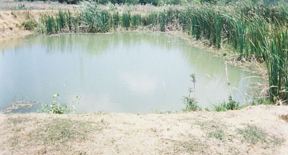 For sale land in Sam Roi Yot, Prachuap Khiri Khan