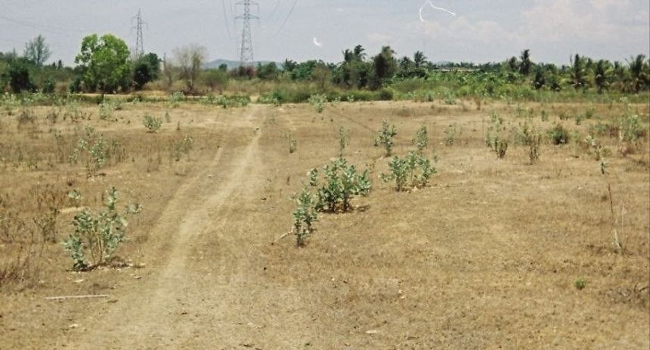 For sale land in Sam Roi Yot, Prachuap Khiri Khan