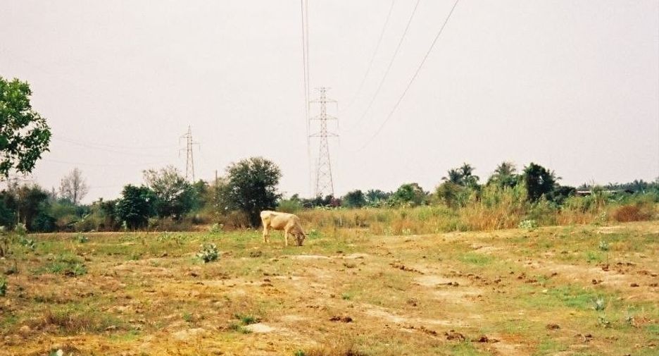 For sale land in Sam Roi Yot, Prachuap Khiri Khan