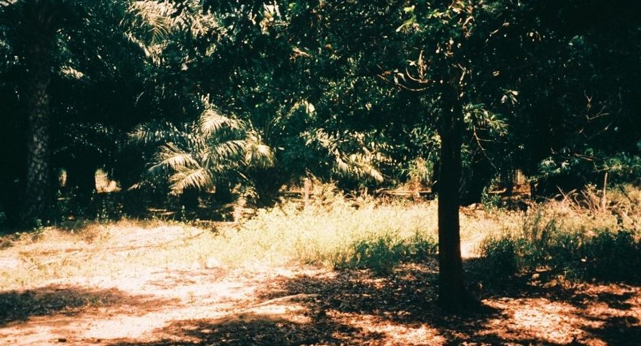 For sale land in Sam Roi Yot, Prachuap Khiri Khan