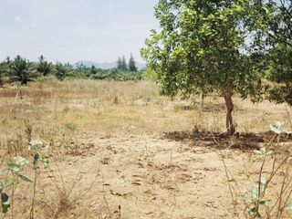 For sale land in Sam Roi Yot, Prachuap Khiri Khan