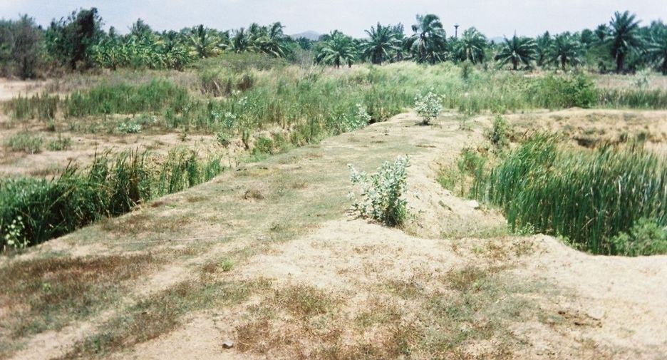 For sale land in Sam Roi Yot, Prachuap Khiri Khan