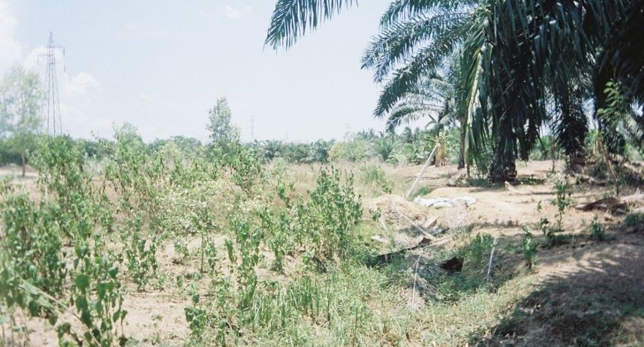 For sale land in Sam Roi Yot, Prachuap Khiri Khan