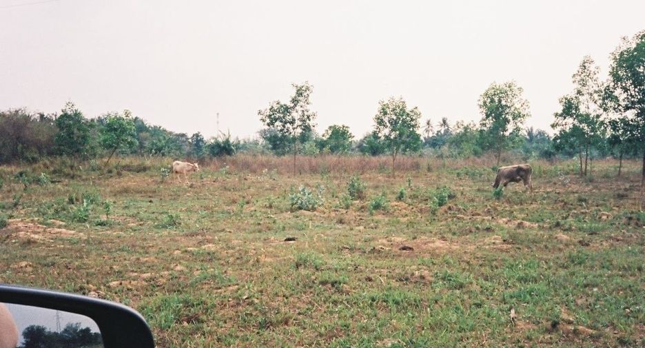 For sale land in Sam Roi Yot, Prachuap Khiri Khan
