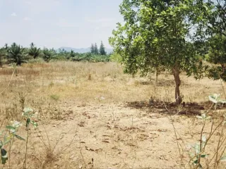 Terreno en venta en Sam Roi Yot, Prachuap Khiri Khan